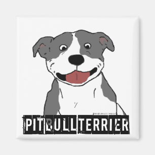 Imã Pitbull de sorriso (nome da raça do azul e do