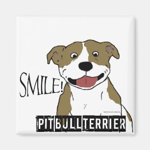 Imã Pitbull de sorriso (Tan e branco)