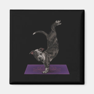 Imã Pitbull Fazendo Yoga Meditação Zen Namaste Cachorr