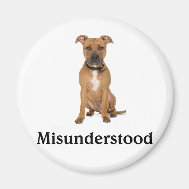 Imã Pitbull - Incompreendido (Frente)