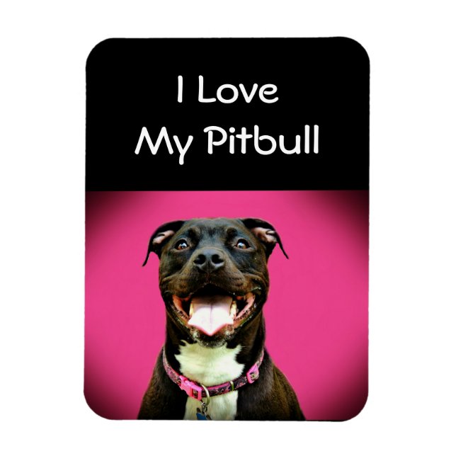 Ímã Pitbull Love (Vertical)