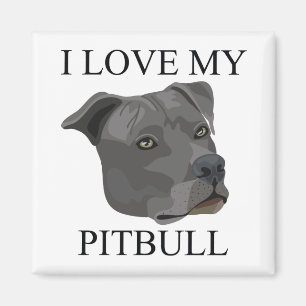 Imã PITBULL Love!
