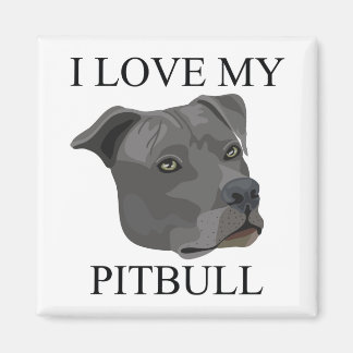 Imã PITBULL Love!