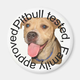 Imã Pitbull testou o ímã