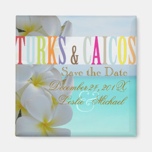 Imã PixDezines Salvar Turcos de Data, Praia+Plumeria