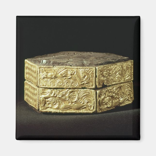 Imã Píxis hexagonal decorada com animais (Frente)