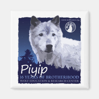 Imã Piyip Magnet
