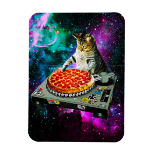 Ímã pizza de gato dj espacial