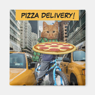 IMÃ PIZZA - ENTREGA DO CAT PIZA!ÍMÃS