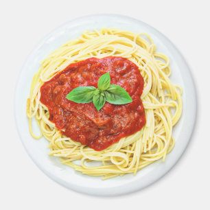 Imã Placa do divertimento do ímã do refrigerador dos