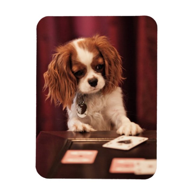 Ímã Placas Puppy Plays (Vertical)