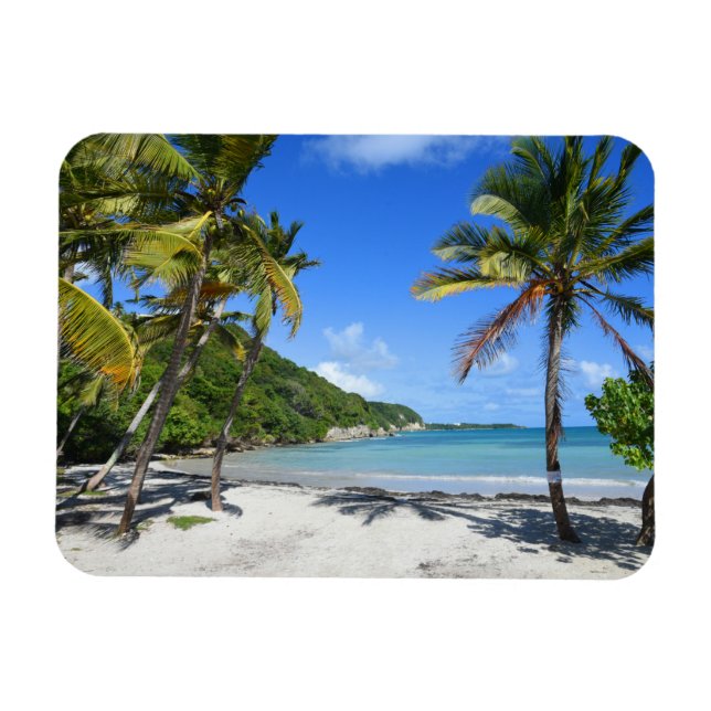 Ímã plage de guadeloupe (Horizontal)