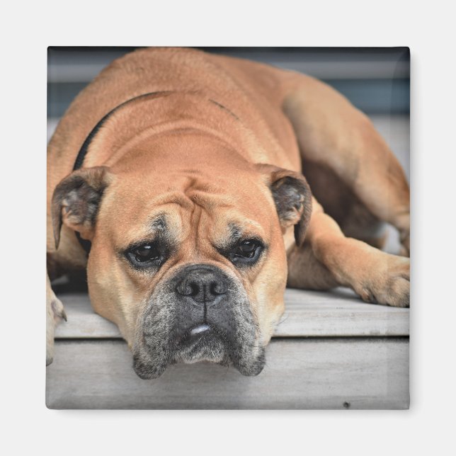 Imã Planilha Continental Personalizável (Frente)