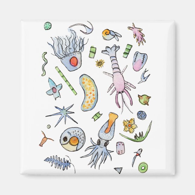 Imã Plankton Marinho Pastel em Aquarela (Frente)