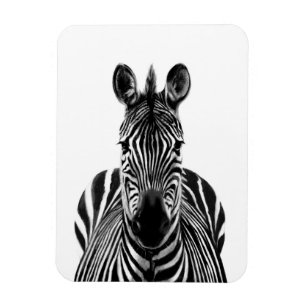 Ímã Plano de backup III