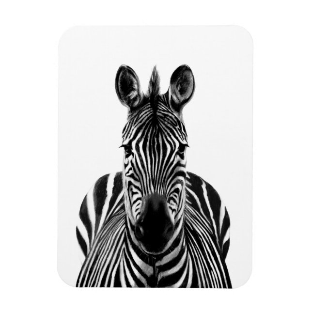 Ímã Plano de backup III (Vertical)