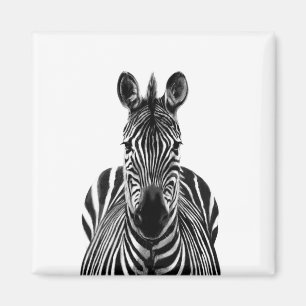 Imã Plano de backup III