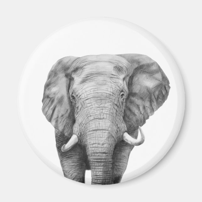 Imã Plano de backup IV (Frente)