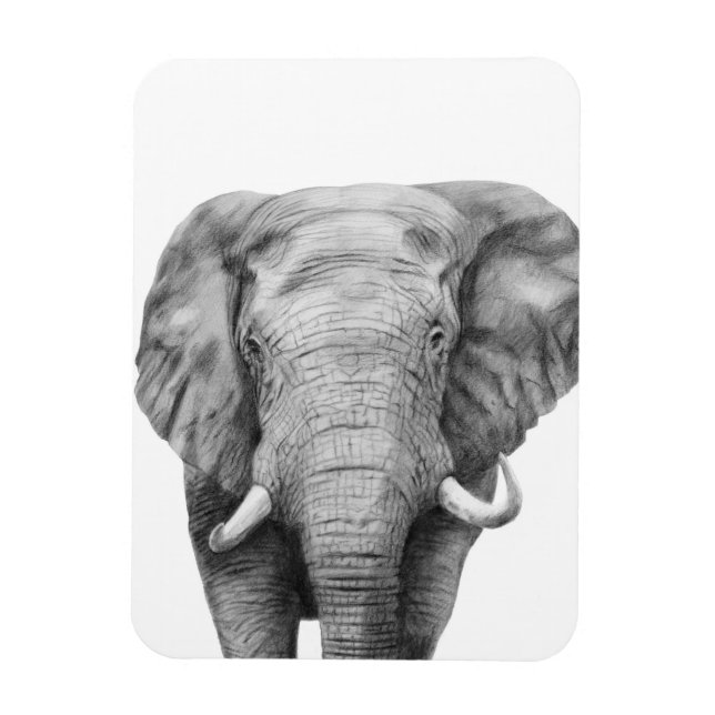 Ímã Plano de backup IV (Vertical)