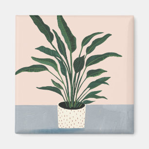 Imã Planta