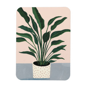 Ímã Planta