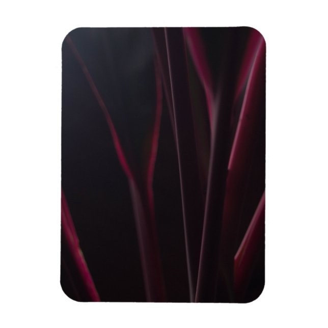 Ímã Planta Ti Havaiana (Vertical)