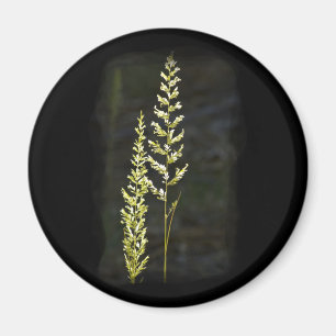 Imã Planta Verde