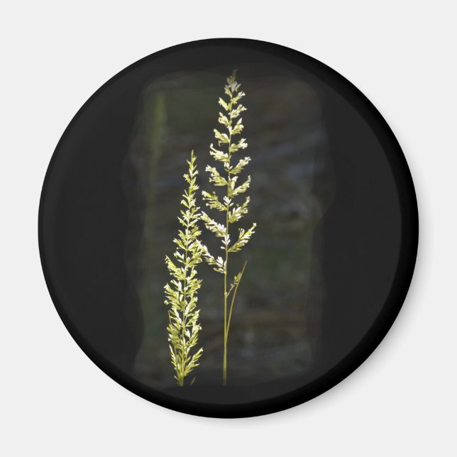 Imã Planta Verde (Frente)