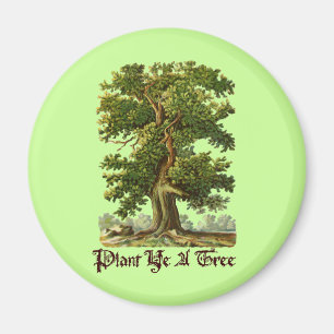 Imã Planta YE um slogan do verde da árvore