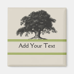 Imã Plantação de árvores de carvalho em verde