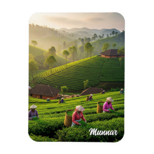 Ímã Plantação de Chá de Munnar Kerala Índia