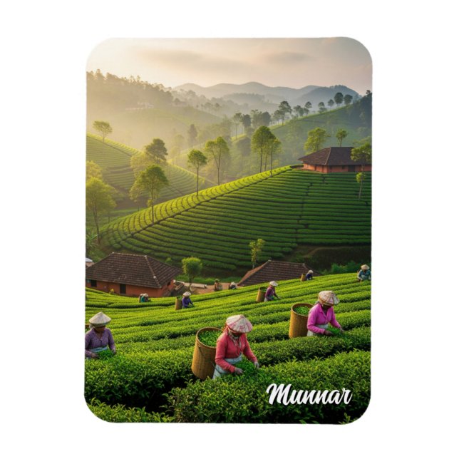 Ímã Plantação de Chá de Munnar Kerala Índia (Vertical)