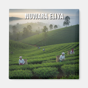 Imã Plantação de Chá Nuwara Eliya Sri Lanka