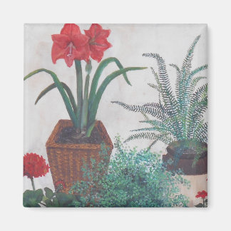 Imã Plantas da vovó