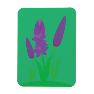 Ímã Plantas de Lavanda