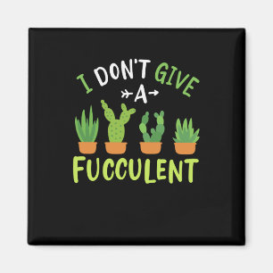 Imã Plantas Suculentas