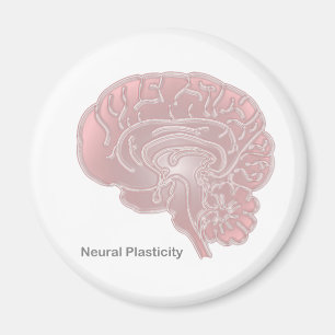 Imã Plasticidade Neural