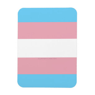 Ímã Plataforma de diversidade do orgulho transgênero d
