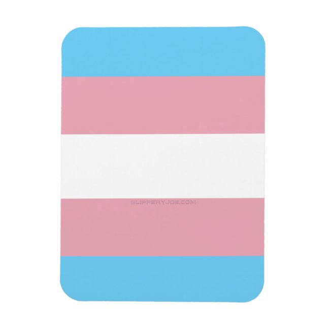Ímã Plataforma de diversidade do orgulho transgênero d (Vertical)