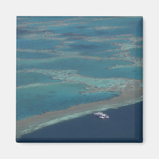 Imã Plataformas de mergulho perto do recife, barreira 