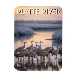 Ímã Platte River Sandhill Cranes Nebraska Travel