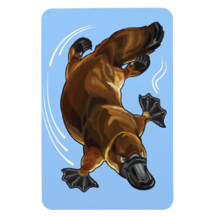 Ímã platypus