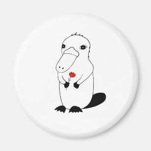 Imã Platypus adorável