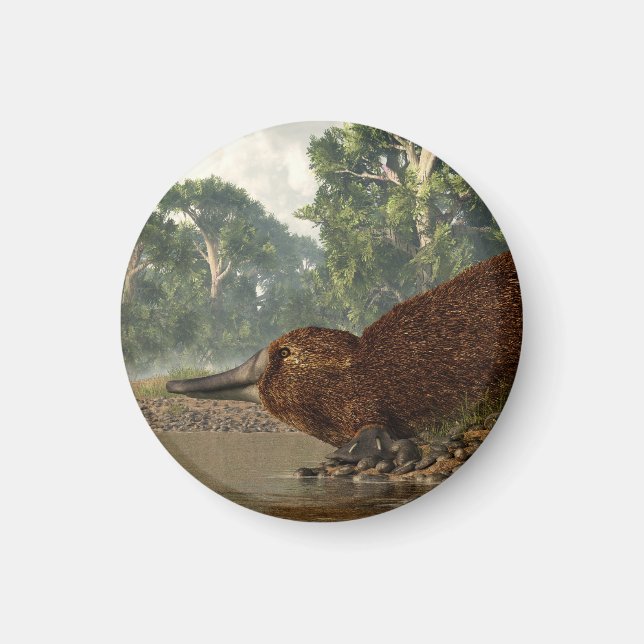 Imã Platypus na orla (Frente)