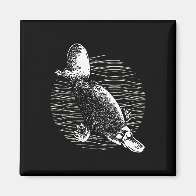 Imã Platypus Outback Willife Nature Platypus (Frente)