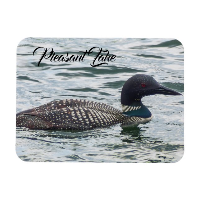 Ímã Pleasant Lake Loon Magnet (Horizontal)