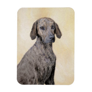 Ímã Plott Painting - Arte de Cachorro Original
