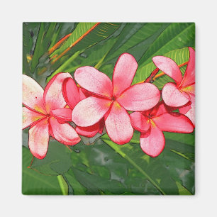 Imã Plumeria