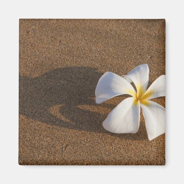 Imã Plumeria em Sandy Beach, Maui, Havaí, EUA (Frente)