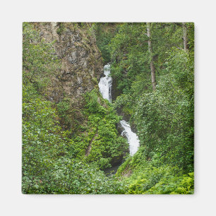 Imã Plush Thunderbird Painterly